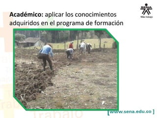Académico: aplicar los conocimientos
adquiridos en el programa de formación
 