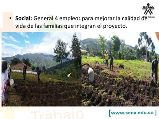 • Social: General 4 empleos para mejorar la calidad de
vida de las familias que integran el proyecto.
 