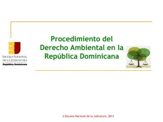 Módulo V




     Procedimiento del
  Derecho Ambiental en la
   República Dominicana




           © Escuela Nacional de la Judicatura, 2013
 