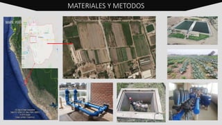 MATERIALES Y METODOS
 
