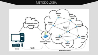 METODOLOGIA
Radiofrecuencia
Wi-Fi
 