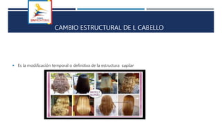 CAMBIO ESTRUCTURAL DE L CABELLO
 Es la modificación temporal o definitiva de la estructura capilar
 