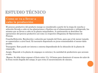 ESTUDIO TÉCNICO
Como se va a llevar a
cabo la producción
El proceso productivo del producto mango es considerado a partir de la etapa de cosecha y
selección llevada a cabo en las plantaciones y finaliza con el almacenamiento y refrigerado, los
mismos que se llevan a cabo en la planta maquiladora. A continuación se describen las
operaciones del proceso productivo así como su respectivo Diagrama de Operaciones de
Proceso.
Cosecha/Selección. Recolección y selección por tamaño del fruto, para que el de menor tamaño
se comercialice a nivel local. Es necesario depositarlo en javas ocasionándole el menor daño
posible.
Transporte. Este puede ser interno o externo dependiendo de la ubicación de la planta de
empacado.
Acopio. Depende si la planta de empaque es externa y la cantidad de productores que accesan
a está.
 Reposo. Se debe dejar reposar el fruto entre 12 y 18 horas para disminuir el exceso de calor de
la fruta recién llegada del campo, lo que evita el oscurecimiento de cáscara.
 