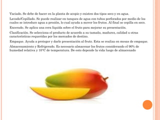 Vaciado. Se debe de hacer en la planta de acopio y existen dos tipos seco y en agua.
Lavado/Cepillado. Se puede realizar en tanques de agua con tubos perforados por medio de los
cuales se introduce agua a presión, lo cual ayuda a mover los frutos. Al final se cepilla en seco.
Encerado. Se aplica una cera líquida sobre el fruto para mejorar su presentación.
Clasificación. Se selecciona el producto de acuerdo a su tamaño, madurez, calidad u otras
características requeridas por los mercados de destino.
Empaque. Ayuda a proteger y darle presentación al fruto. Esta se realiza en mesas de empaque.
Almacenamiento y Refrigerado. Es necesario almacenar los frutos considerando el 90% de
humedad relativa y 10°C de temperatura. De esto depende la vida luego de almacenado
 
 