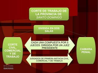 CADA UNA COMPUESTA POR 5 JUECES. DIRIGIDA POR UN JUEZ PRESIDENTE JUSGADOS DE PRIMERA INSTACIA CIVIL, COMERCIAL Y DE TRABAJO CORTE DE TRABAJO DE LA PROVINCIA DE  SANTO DOMINGO DIVIDIDA EN DOS SALAS CAMARA PENAL CORTE CIVIL, COMERCIAL  Y DE TRABAJO 