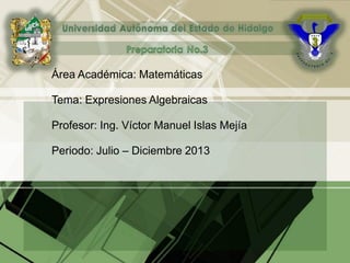Área Académica: Matemáticas
Tema: Expresiones Algebraicas
Profesor: Ing. Víctor Manuel Islas Mejía
Periodo: Julio – Diciembre 2013
 
