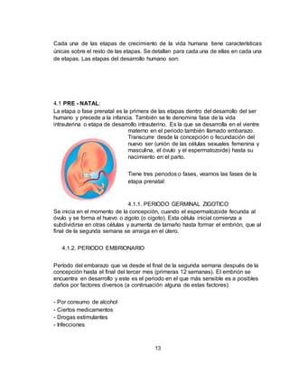 13
Cada una de las etapas de crecimiento de la vida humana tiene características
únicas sobre el resto de las etapas. Se detallan para cada una de ellas en cada una
de etapas. Las etapas del desarrollo humano son:
4.1 PRE - NATAL:
La etapa o fase prenatal es la primera de las etapas dentro del desarrollo del ser
humano y precede a la infancia. También se le denomina fase de la vida
intrauterina o etapa de desarrollo intrauterino. Es la que se desarrolla en el vientre
materno en el periodo también llamado embarazo.
Transcurre desde la concepción o fecundación del
nuevo ser (unión de las células sexuales femenina y
masculina, el óvulo y el espermatozoide) hasta su
nacimiento en el parto.
Tiene tres periodos o fases, veamos las fases de la
etapa prenatal:
4.1.1. PERIODO GERMINAL ZIGOTICO
Se inicia en el momento de la concepción, cuando el espermatozoide fecunda al
óvulo y se forma el huevo o zigoto (o cigoto). Esta célula inicial comienza a
subdividirse en otras células y aumenta de tamaño hasta formar el embrión, que al
final de la segunda semana se arraiga en el útero.
4.1.2. PERIODO EMBRIONARIO
Período del embarazo que va desde el final de la segunda semana después de la
concepción hasta el final del tercer mes (primeras 12 semanas). El embrión se
encuentra en desarrollo y este es el periodo en el que más sensible es a posibles
daños por factores diversos (a continuación alguna de estas factores):
- Por consumo de alcohol
- Ciertos medicamentos
- Drogas estimulantes
- Infecciones
 