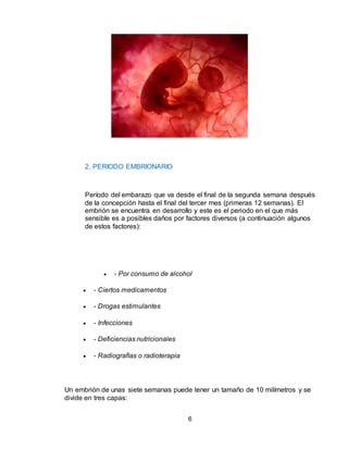 6
2. PERIODO EMBRIONARIO
Período del embarazo que va desde el final de la segunda semana después
de la concepción hasta el final del tercer mes (primeras 12 semanas). El
embrión se encuentra en desarrollo y este es el periodo en el que más
sensible es a posibles daños por factores diversos (a continuación algunos
de estos factores):
 - Por consumo de alcohol
 - Ciertos medicamentos
 - Drogas estimulantes
 - Infecciones
 - Deficiencias nutricionales
 - Radiografías o radioterapia
Un embrión de unas siete semanas puede tener un tamaño de 10 milímetros y se
divide en tres capas:
 