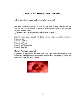 12
4. PROCESO DE DESARROLLO DEL SER HUMANO.
¿Qué son las etapas del desarrollo humano?
Llamamos desarrollo humano a la evolución que sufre el ser humano durante su
vida desde con su concepción y nacimiento hasta su fallecimiento. Este desarrollo
se divide en siete etapas
¿Cuáles son las etapas del desarrollo humano?
Las siete etapas o periodos de la vida del ser humano ordenadas son las siguientes:
Etapa prenatal
Etapa de La Infancia
Etapa de La Niñez
Etapa de La Adolescencia
Etapa de Juventud
Etapa Periodo prenatal
Comprende el proceso de desarrollo que tiene lugar entre la concepción y el
nacimiento, el tiempo en que el organismo humano crece de una célula a miles de
millones de célula spa de la Adultez
 