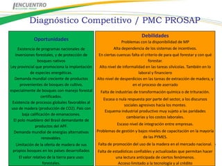 Diagnóstico Competitivo / PMC PROSAP
                                                                          Debilidades
             Oportunidades                                     Problemas con la disponibilidad de MP
     Existencia de programas nacionales de                Alta dependencia de los sistemas de incentivos.
   inversiones forestales, y de protección de    En ciertas cuencas falta el criterio de para qué forestar y con qué
                 bosques nativos                                               forestar.
Ley provincial que promociona la implantación    Alto nivel de informalidad en las tareas silvícolas. También en lo
            de especies energéticas.                                    laboral y financiero
   Demanda mundial creciente de productos       Alto nivel de desperdicios en las tareas de extracción de madera, y
      provenientes de bosques de cultivo,                            en el proceso de aserrado
especialmente de bosques con manejo forestal     Falta de industrias de transformación química o de trituración.
                   certificados.
                                                   Escasa o nula respuesta por parte del sector, a los discursos
 Existencia de procesos globales favorables al
                                                                sociales agresivos hacia los montes.
 uso de madera (producción de CO2). País con
                                                    Esquema industrial productivo muy sujeto a las paridades
       baja calificación de emanaciones.
                                                                 cambiarias y los costos laborales.
  El polo mueblero del Brasil demandante de
               productos del APF.                          Escaso nivel de integración entre empresas.
  Demanda mundial de energías alternativas     Problemas de gestión y bajos niveles de capacitación en la mayoría
                   renovables.                                             de las PYMES.
    Limitación de la oferta de madera de sus    Falta de promoción del uso de la madera en el mercado nacional.
  propios bosques en los países desarrollados   Falta de estadísticas confiables y actualizadas que permitan hacer
    El valor relativo de la tierra para usos               una lectura anticipada de ciertos fenómenos.
                   forestales.                              Acceso limitado a la tecnología y al crédito
 