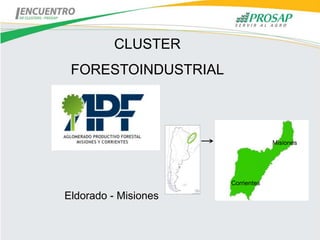 CLUSTER
 FORESTOINDUSTRIAL



                                   Misiones




                      Corrientes

Eldorado - Misiones
 