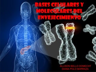 Bases celulares y
moleculares del
envejecimiento
ALLISON BELLO DOMECHT
DIANA POLO BARRAZA
 