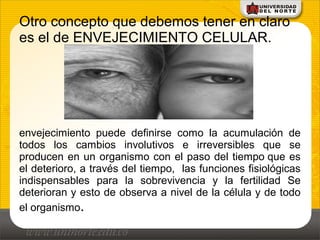Otro concepto que debemos tener en claro
es el de ENVEJECIMIENTO CELULAR.
envejecimiento puede definirse como la acumulación de
todos los cambios involutivos e irreversibles que se
producen en un organismo con el paso del tiempo que es
el deterioro, a través del tiempo, las funciones fisiológicas
indispensables para la sobrevivencia y la fertilidad Se
deterioran y esto de observa a nivel de la célula y de todo
el organismo.
 