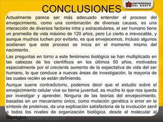 CONCLUSIONES
Actualmente parece ser más adecuado entender el proceso del
envejecimiento, como una combinación de diversas causas, es una
interacción de diversos factores intra y extracelulares, el ser humano tiene
un promedio de vida máximo de 120 años, pero Lo cierto e irrevocable, y
aunque muchos luchen por evitarlo, es que envejecemos, Incluso algunos
sostienen que este proceso se inicia en el momento mismo del
nacimiento.
Las preguntas en torno a este fenómeno biológico se han multiplicado en
las cabezas de los científicos en los últimos 50 años, motivados
especialmente por el creciente aumento de la expectativa de vida del ser
humano, lo que conduce a nuevas áreas de investigación, la mayoría de
las cuales recién se están definiendo.
Aunque suene contradictorio, podemos decir que el estudio sobre el
envejecimiento celular vive su tierna juventud, es mucho lo que nos queda
por investigar y aprender. Ninguna de las teorías del envejecimiento,
basadas en un mecanismo único, como mutación genética o error en la
síntesis de proteínas, da una explicación satisfactoria de la involución senil
a todos los niveles de organización biológica, desde el molecular al
fisiológico.
 
