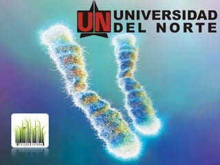 bases celulares del envejecimiento