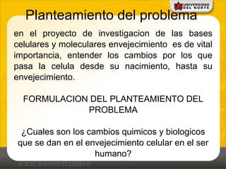 Planteamiento del problema
en el proyecto de investigacion de las bases
celulares y moleculares envejecimiento es de vital
importancia, entender los cambios por los que
pasa la celula desde su nacimiento, hasta su
envejecimiento.
FORMULACION DEL PLANTEAMIENTO DEL
PROBLEMA
¿Cuales son los cambios quimicos y biologicos
que se dan en el envejecimiento celular en el ser
humano?
 