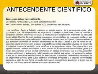 ANTECENDENTE CIENTIFICO
Senescencia celular y envejecimiento
Lic. Gilberto Pardo Andreu y Dr. René Delgado Hernández
Rev Cubana Invest Biomed, 2 de abril de 2003, Universidad de Camagüey,
Los científicos Pardo y Delgado realizaron un estudio acerca de la senescencia celular ellos
concluyeron que El envejecimiento en organismos complejos multicelulares como los mamíferos
comprende cambios distintivos en células y moléculas que comprometen finalmente su adecuada
funcionalidad. Muchos de estos cambios se producen como resultado de respuestas celulares, que
han evolucionado para reducir el impacto inevitable de insultos tanto endógenos como ambientales y
que conducen finalmente al fenotipo característico de la vejez. Debido a que la fuerza de la
selección natural disminuye con la edad, es probable que estas respuestas celulares no hayan sido
optimizadas durante la evolución para beneficiar a los organismos viejos. Esto quiere decir que
algunos cambios celulares asociados a la edad pueden ser el resultado de la actividad de genes que
fueron seleccionados por sus efectos beneficiosos en edades tempranas y que a su vez, presentan
acciones deletéreas y pobremente seleccionadas en edades avanzadas. La senescencia celular
puede ser un ejemplo de este fenómeno. Es esencial para la viabilidad y el buen funcionamiento de
los organismos jóvenes, pero puede contribuir al fenotipo envejecido y a algunas enfermedades
asociadas a este. De esa forma se puede decir que el envejecimiento podría ser el precio que se
paga por una óptima salud en edades tempranas del desarrollo.
 