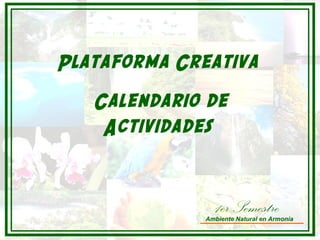 Plataforma Creativa
Calendario de
Actividades

1er Semestre

Ambiente Natural en Armonía

 