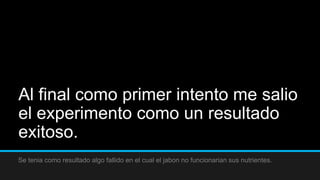 Al final como primer intento me salio
el experimento como un resultado
exitoso.
Se tenia como resultado algo fallido en el cual el jabon no funcionarian sus nutrientes.
 