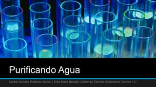 Purificando Agua
Karime Danahy Melgoza García. | Alma Maite Barajas Cardenás| Escuela Secundaria Técnica 107.
 