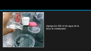 Agrega los 300 ml de agua de la
llave al cristalizador
 