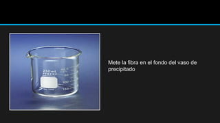 Mete la fibra en el fondo del vaso de
precipitado
 