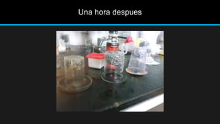 Una hora despues
 
