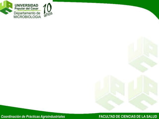 Coordinación de Prácticas Agroindustriales FACULTAD DE CIENCIAS DE LA SALUD
 