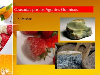 Causadas por los Agentes Químicos
• Mohos
 