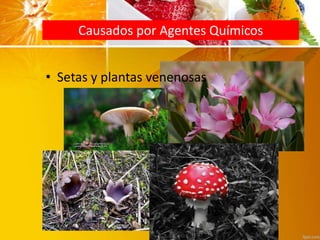 Causados por Agentes Químicos
• Setas y plantas venenosas
 
