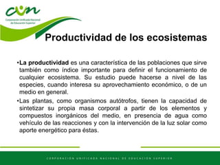 Productividad de los ecosistemas
•La productividad es una característica de las poblaciones que sirve
también como índice importante para definir el funcionamiento de
cualquier ecosistema. Su estudio puede hacerse a nivel de las
especies, cuando interesa su aprovechamiento económico, o de un
medio en general.
•Las plantas, como organismos autótrofos, tienen la capacidad de
sintetizar su propia masa corporal a partir de los elementos y
compuestos inorgánicos del medio, en presencia de agua como
vehículo de las reacciones y con la intervención de la luz solar como
aporte energético para éstas.
 