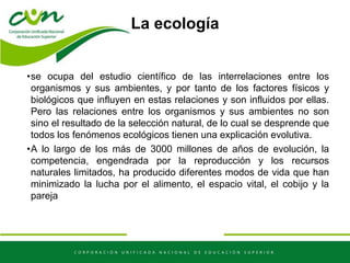 La ecología
•se ocupa del estudio científico de las interrelaciones entre los
organismos y sus ambientes, y por tanto de los factores físicos y
biológicos que influyen en estas relaciones y son influidos por ellas.
Pero las relaciones entre los organismos y sus ambientes no son
sino el resultado de la selección natural, de lo cual se desprende que
todos los fenómenos ecológicos tienen una explicación evolutiva.
•A lo largo de los más de 3000 millones de años de evolución, la
competencia, engendrada por la reproducción y los recursos
naturales limitados, ha producido diferentes modos de vida que han
minimizado la lucha por el alimento, el espacio vital, el cobijo y la
pareja
 