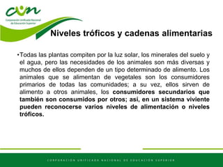 Niveles tróficos y cadenas alimentarias
•Todas las plantas compiten por la luz solar, los minerales del suelo y
el agua, pero las necesidades de los animales son más diversas y
muchos de ellos dependen de un tipo determinado de alimento. Los
animales que se alimentan de vegetales son los consumidores
primarios de todas las comunidades; a su vez, ellos sirven de
alimento a otros animales, los consumidores secundarios que
también son consumidos por otros; así, en un sistema viviente
pueden reconocerse varios niveles de alimentación o niveles
tróficos.
 
