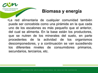 Biomasa y energía
•La red alimentaria de cualquier comunidad también
puede ser concebida como una pirámide en la que cada
uno de los escalones es más pequeño que el anterior,
del cual se alimenta. En la base están los productores,
que se nutren de los minerales del suelo, en parte
procedentes de la actividad de los organismos
descomponedores, y a continuación se van sucediendo
los diferentes niveles de consumidores primarios,
secundarios, terciarios, etc.
 