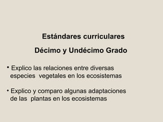 Estándares curriculares Décimo y Undécimo Grado Explico las relaciones entre diversas especies  vegetales en los ecosistemas Explico y comparo algunas adaptaciones de las  plantas en los ecosistemas 