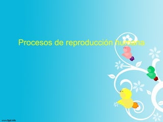 Procesos de reproducción humana
 
