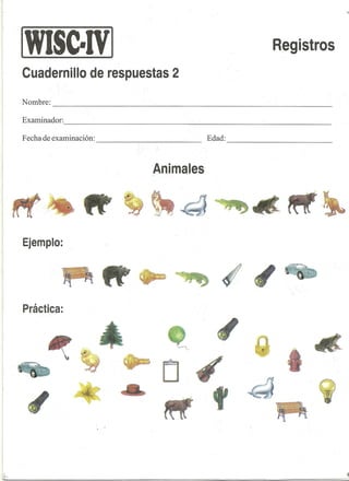 Plantillas de correccion