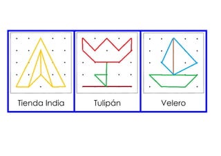 Tienda India 
Tulipán 
Velero 