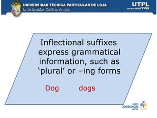 Inflectional suffixes express grammatical information, such as ‘plural’ or –ing forms Dog  dogs 