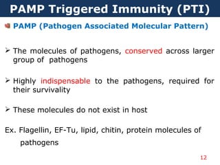 PAMP Triggered Immunity (PTI)
PAMP (Pathogen Associated Molecular Pattern)
 The molecules of pathogens, conserved across larger
group of pathogens
 Highly indispensable to the pathogens, required for
their survivality
 These molecules do not exist in host
Ex. Flagellin, EF-Tu, lipid, chitin, protein molecules of
pathogens
12
 