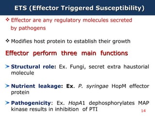 ETS (Effector Triggered Susceptibility)ETS (Effector Triggered Susceptibility)
 Effector are any regulatory molecules secreted
by pathogens
 Modifies host protein to establish their growth
Effector perform three main functionsEffector perform three main functions
Structural role: Ex. Fungi, secret extra haustorial
molecule
Nutrient leakage: Ex. P. syringae HopM effector
protein
Pathogenicity: Ex. HopA1 dephosphorylates MAP
kinase results in inhibition of PTI 14
 