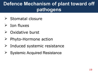  Stomatal closure
 Ion fluxes
 Oxidative burst
 Phyto-Hormone action
 Induced systemic resistance
 Systemic Acquired Resistance
19
Defence Mechanism of plant toward off
pathogens
 