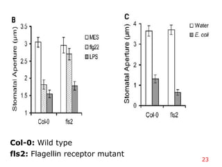 23
Col-0: Wild type
fls2: Flagellin receptor mutant
 