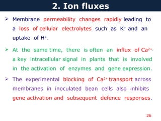 26
2. Ion fluxes
 Membrane permeability changes rapidly leading to
a loss of cellular electrolytes such as K+
and an
uptake of H+
.
 At the same time, there is often an influx of Ca2+,
a key intracellular signal in plants that is involved
in the activation of enzymes and gene expression.
 The experimental blocking of Ca2+
transport across
membranes in inoculated bean cells also inhibits
gene activation and subsequent defence responses.
 