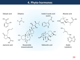 4. Phyto-hormones
29
 