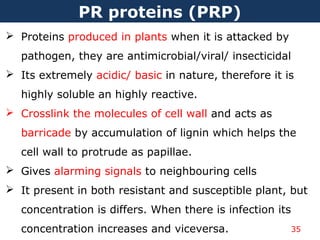 35
PR proteins (PRP)
 Proteins produced in plants when it is attacked by
pathogen, they are antimicrobial/viral/ insecticidal
 Its extremely acidic/ basic in nature, therefore it is
highly soluble an highly reactive.
 Crosslink the molecules of cell wall and acts as
barricade by accumulation of lignin which helps the
cell wall to protrude as papillae.
 Gives alarming signals to neighbouring cells
 It present in both resistant and susceptible plant, but
concentration is differs. When there is infection its
concentration increases and viceversa.
 