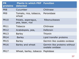 37
PR
proteins
Plants in which PRP
detected
Function
PR8 Cucumber Chitinase
PR9 Tomato, rice, tobacco,
wheat
Peroxidase
PR10 Potato, asperagus,
pea, bean, rice
Ribonucleases
PR11 Tobacco Chitinase
PR12 Arabidopsis, pea, Defensin
PR13 Barley Thionin
PR14 Barley Lipid transfer proteins
PR15 Barley Germin like oxalate oxidase
PR16 Barley and wheat Germin like proteins without
oxalate oxidase
PR17 Wheat, barley, tobacco Peptidase
 
