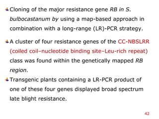42
Cloning of the major resistance gene RB in S.
bulbocastanum by using a map-based approach in
combination with a long-range (LR)-PCR strategy.
A cluster of four resistance genes of the CC-NBSLRR
(coiled coil–nucleotide binding site–Leu-rich repeat)
class was found within the genetically mapped RB
region.
Transgenic plants containing a LR-PCR product of
one of these four genes displayed broad spectrum
late blight resistance.
 