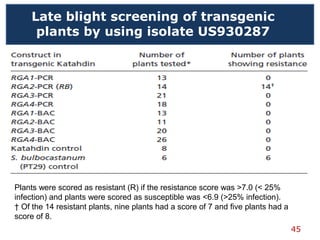 45
Late blight screening of transgenic
plants by using isolate US930287
Plants were scored as resistant (R) if the resistance score was >7.0 (< 25%
infection) and plants were scored as susceptible was <6.9 (>25% infection).
† Of the 14 resistant plants, nine plants had a score of 7 and five plants had a
score of 8.
 