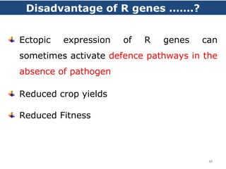 Disadvantage of R genes …….?
Ectopic expression of R genes can
sometimes activate defence pathways in the
absence of pathogen
Reduced crop yields
Reduced Fitness
48
 